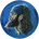 Kaleb logo
